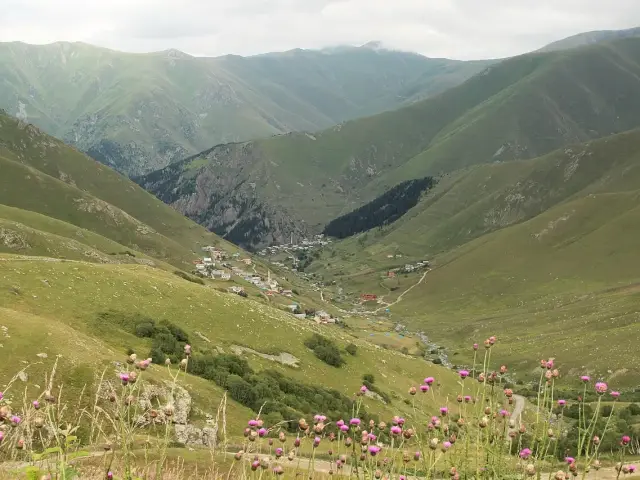 Çiçekli yayla çayırından görünen Karadeniz dağları ve vadi