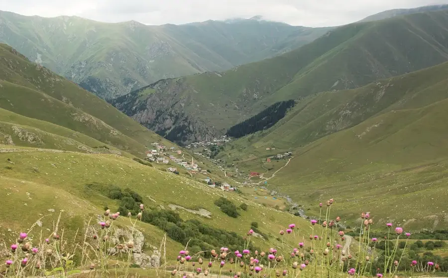 Çiçekli yayla çayırından görünen Karadeniz dağları ve vadi